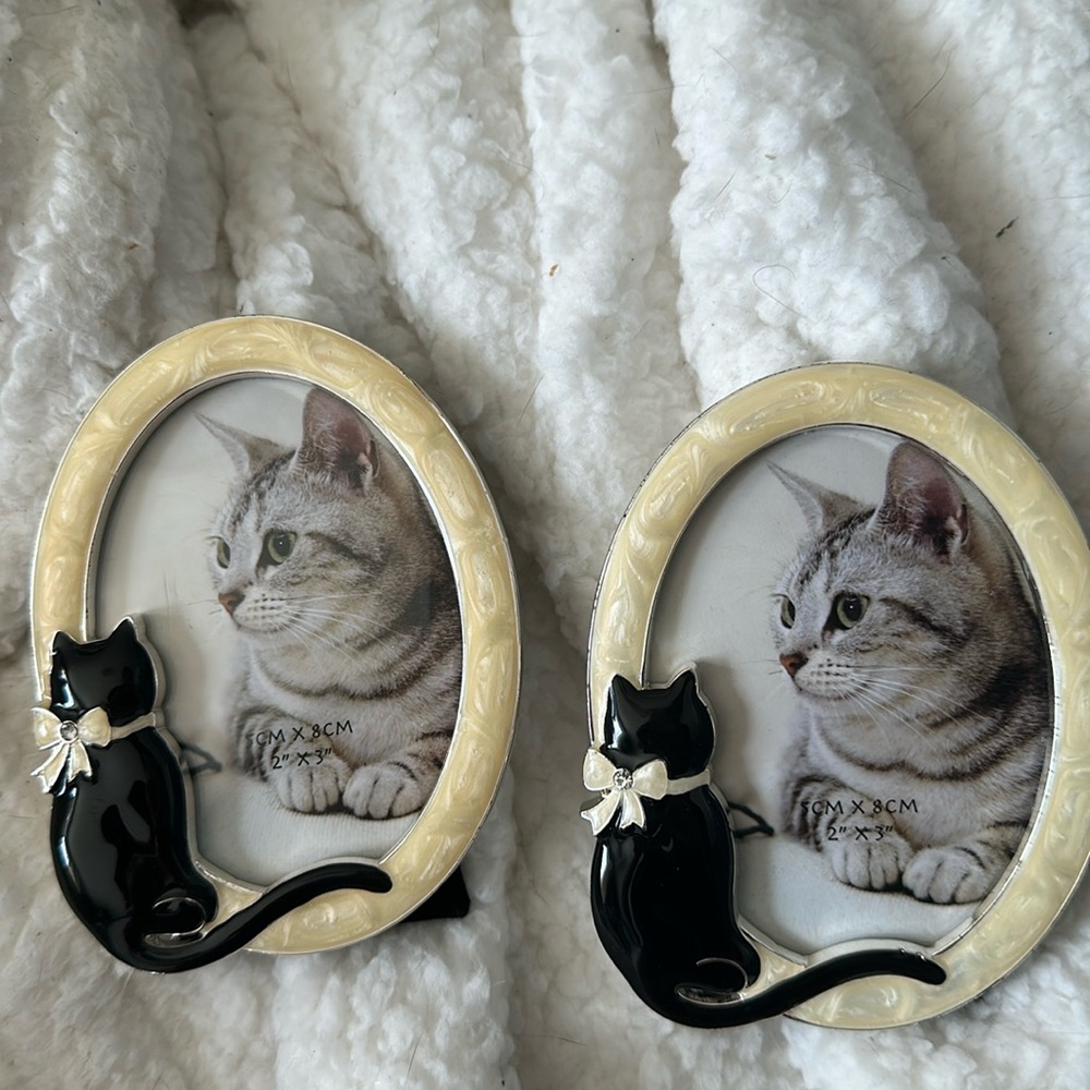 NEW x2 cat frames